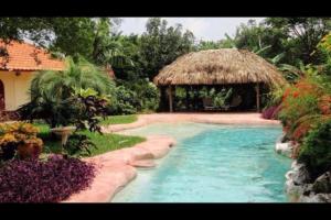 een zwembad in een tuin met een rieten hut bij B&B Villa Zomerland in Julianadorp