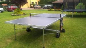 Stolný tenis v ubytovaní Pokoje Aleksander alebo v jeho okolí