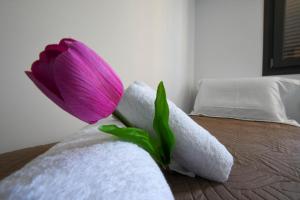 Postel nebo postele na pokoji v ubytování Orion Eco Suites