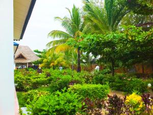 un jardin avec des plantes tropicales et des palmiers dans l'établissement Kigwedeni Villas, à Nungwi