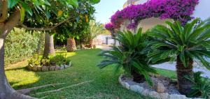 a garden with purple flowers and palm trees at Casa Del Sol in L'Ametlla de Mar +14 photos