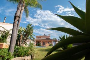 ein Haus mit Palmen im Vordergrund in der Unterkunft Villa Javi in Riumar