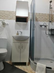 a bathroom with a sink and a shower at Apartament Rondo in Trzebinia