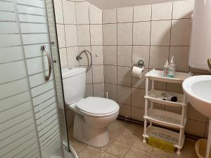 a bathroom with a toilet and a sink at Dusa Zlatibora in Zlatibor +56 photos