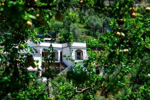 una casa è vista attraverso gli alberi di Villa genny and emily a Positano