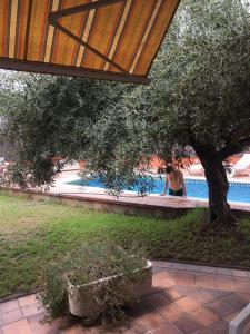 The swimming pool at or close to Casa Jasmin 1