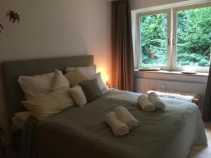 En eller flere senge i et værelse på Pier39 Ferienwohnung Wassersleben Flensburg
