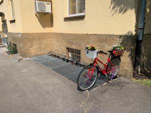 Jazda na bicykli v okolí ubytovania ZLATÁ-ÉRA