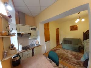 una cocina con fregadero y un sofá en una habitación en Atgiris, en Palanga
