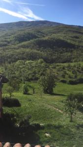 Príroda v okolí apartmánu