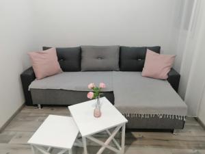 A seating area at Apartman Petreš