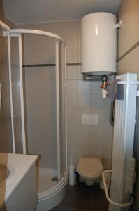 y baño pequeño con aseo y ducha. en New Line, en Middelkerke