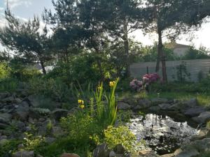 un estanque en un jardín con flores y rocas en Wellspring en Radom