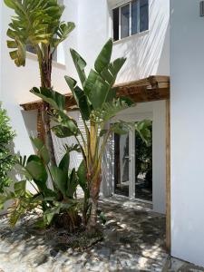 Afbeelding uit fotogalerij van Panorama Village in Barbate