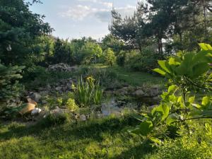 ein Garten mit Steinen und einem Teich in der Unterkunft Wellspring in Radom