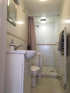 a bathroom with a sink and a toilet and a shower at Cosy annex. in Threemilestone