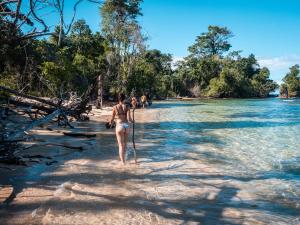 Afbeelding uit fotogalerij van Palmar Beach Lodge in Bocas del Toro