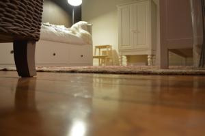 Foto sihtkohas Ieper asuva majutusasutuse Holiday Home Ipericus galeriist