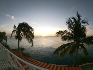 a view of the ocean from a resort with palm trees at Breathtaking View - Playa Lagun - Curacao in Lagun