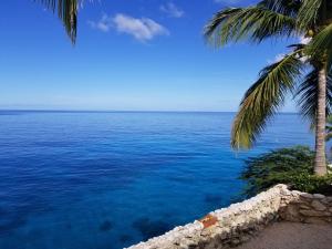 a view of the ocean from a beach with palm trees at Breathtaking View - Playa Lagun - Curacao in Lagun