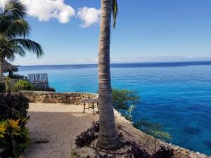 een palmboom en een stoel naast de oceaan bij Breathtaking View - Playa Lagun - Curacao in Lagun