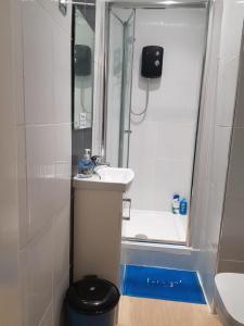 a bathroom with a shower and a sink and a toilet at Alhambra Suite in Ipswich