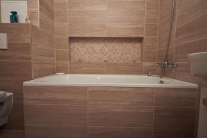 Kúpeľňa v ubytovaní Apartman A&M