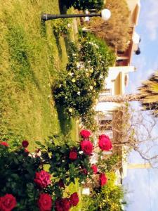 カト・ダラトソにあるNikolas Apartmentsの建物脇の花束