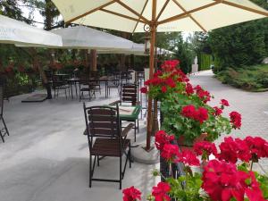 Zahrada ubytování Hotel Germisara