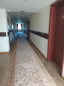 Fotografie z fotogalerie ubytování Hotel Germisara v destinaci Geoagiu Băi