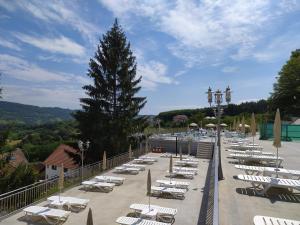 Foto dalla galleria di Hotel Germisara a Geoagiu Băi