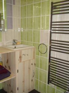 ein grün gefliestes Bad mit einem Waschbecken und einem Spiegel in der Unterkunft Chambres d'hôtes La Rêvaillante in Bourges
