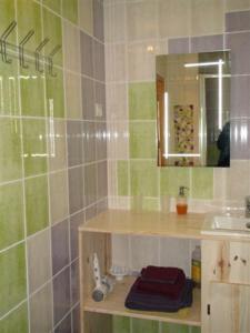 y baño con ducha y lavamanos. en Chambres d'hôtes La Rêvaillante, en Bourges