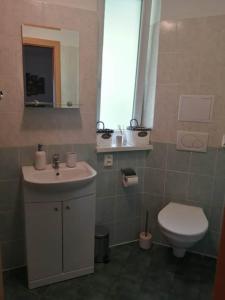 uma casa de banho com um lavatório branco e um WC. em Vrchar em Donovaly