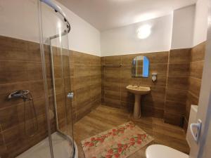 a bathroom with a shower and a sink at STUDIO APARTMENTS in Alba Iulia