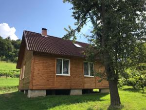 a small wooden house in a field with a tree at ЗАТИШОК in Oriv