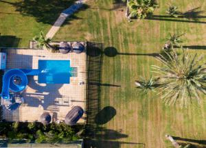 an overhead view of a field with palm trees at Golden Bay Beach Hotel in Larnaca
