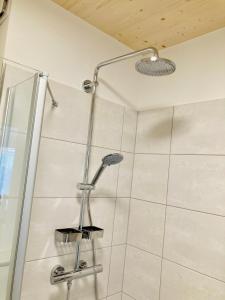 a shower with a shower head in a bathroom at Ankerix & Deichfix in Büsum