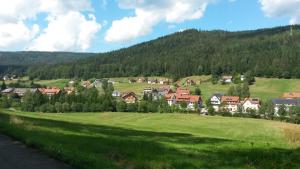 Afbeelding uit fotogalerij van Ferienwohnung Günther in Baiersbronn