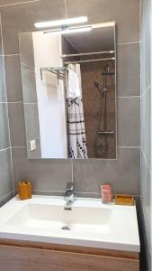 Koupelna v ubytování Appartement Etamine, l'Ermitage les Bains, proche du lagon pour 6 personnes + 19 fotografií