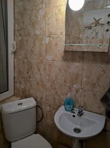 een badkamer met een toilet en een wastafel bij Hotel Окремий Будинок-Апартаменти in Rakoshyno