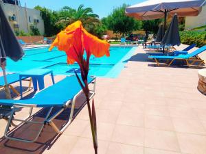 The swimming pool at or close to Villa Giorgos