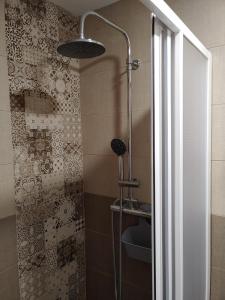 
a bathroom with a shower stall and a toilet at Carpe Viam in Santo Domingo de la Calzada
