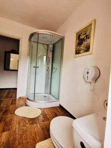 een badkamer met een douche en een toilet. bij Vila Eivissa in Porumbacu de Sus
