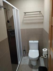 
a bathroom with a toilet and a shower stall at Carpe Viam in Santo Domingo de la Calzada
