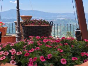 una cesta llena de flores rosas en el balcón en Belsito, en Serrone