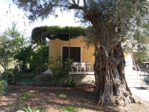 Zahrada ubytování Lefkas house with garden