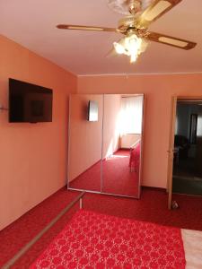 ブラショヴにあるLuxury Brasovのリビングルーム(鏡、赤いカーペット付)