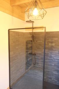 a shower with a glass door in a room at L'Alpage de la Bergerie apartment in a cosy farmhouse ! in Nâves-Parmelan