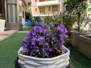 A garden outside Casa Vacanze Isophylla